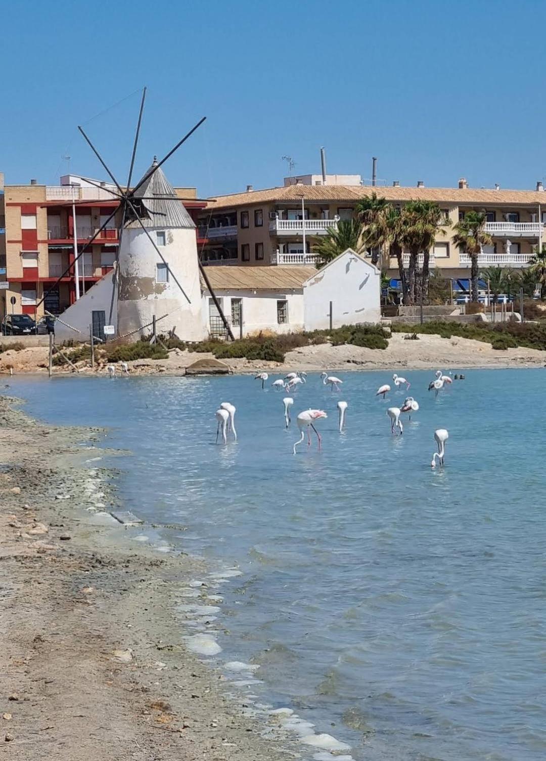 Casa Del Sol Apartment San Pedro del Pinatar Luaran gambar